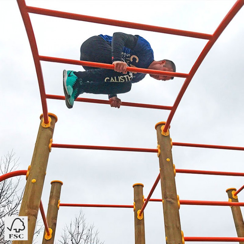 Workout Medium Ref 011374